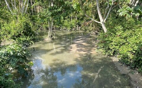 Preservar igarapés de Manaus exige consciência, reciclagem e saneamento