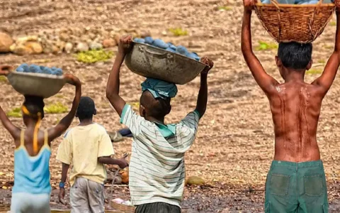 Trabalho infantil cresce entre crianças de 5 a 9 anos, alerta ONG