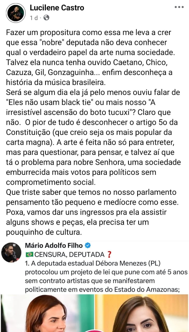 (Foto: Divulgação/Facebook Lucilene Castro) 