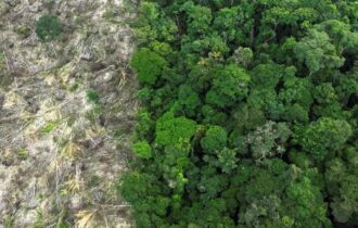 amazonia-perde-52-milhoes-de-h