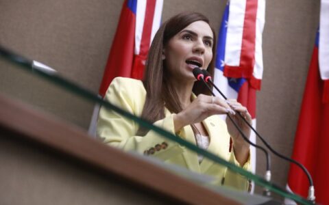 deputada-explica-pl-sobre-proi