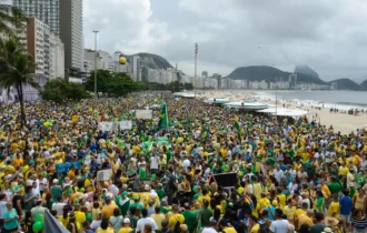 especialistas-defendem-politic