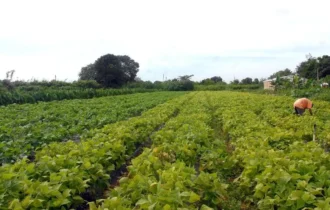 produtores-rurais-terao-acesso