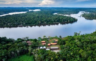BNDES lança edital voltado para recuperação da floresta amazônia