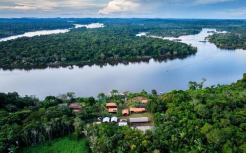 BNDES lança edital voltado para recuperação da floresta amazônia