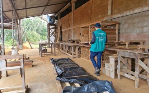 Ipaam orienta que serrarias devem ter licenciamento ambiental para funcionar