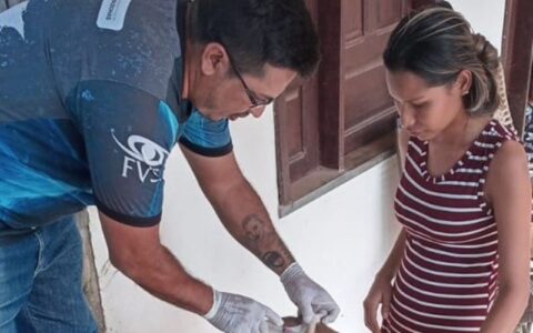 Cerca de 64% dos municípios do Amazonas atingem meta de vacinação contra raiva