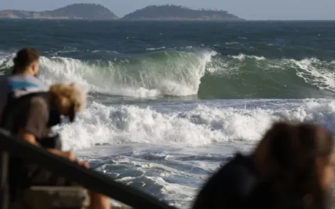 desaparecimento-no-mar-corpo-d