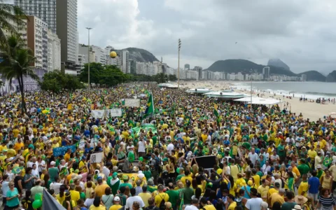 especialistas-defendem-politic