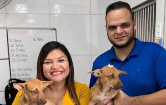 Deputados bancam congresso veterinário no RJ com verba pública