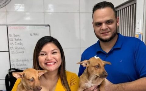 Deputados bancam congresso veterinário no RJ com verba pública