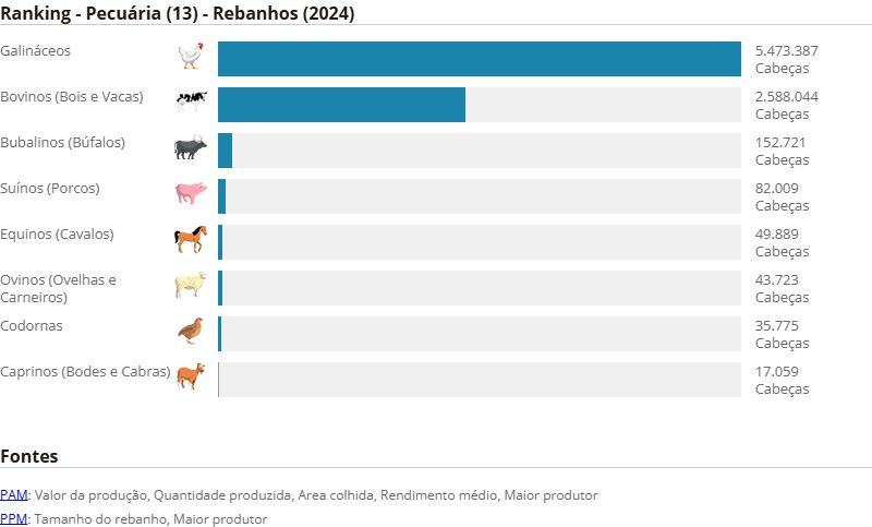 agricultura-do-amazonas-movime