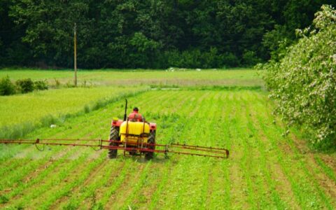agricultura-do-amazonas-movime