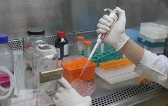 cientistas-brasileiros-avancam