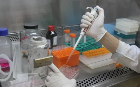 cientistas-brasileiros-avancam
