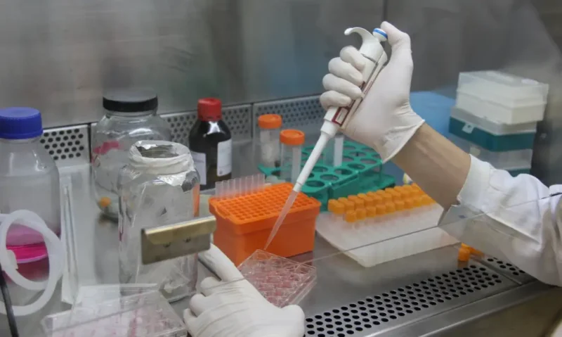 cientistas-brasileiros-avancam