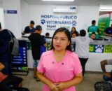 hospital-publico-veterinario-d