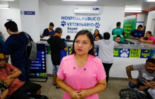 hospital-publico-veterinario-d