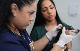 Atendimentos no hospital veterinário ocorrem de segunda a sábado
