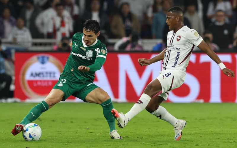 palmeiras-sente-altitude-de-qu