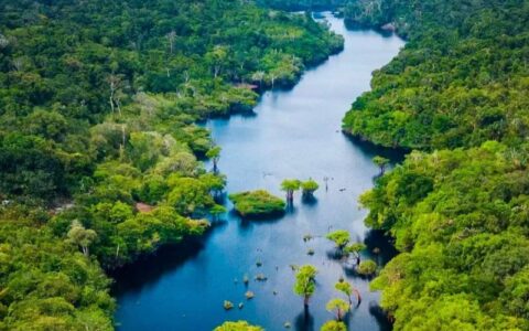 Amazonas registra menor número de focos de calor para setembro desde 2002, aponta Inpe