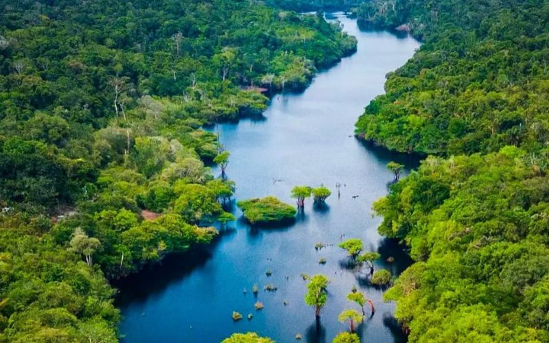 Amazonas registra menor número de focos de calor para setembro desde 2002, aponta Inpe