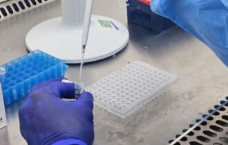 casos-e-obitos-por-virus-respi