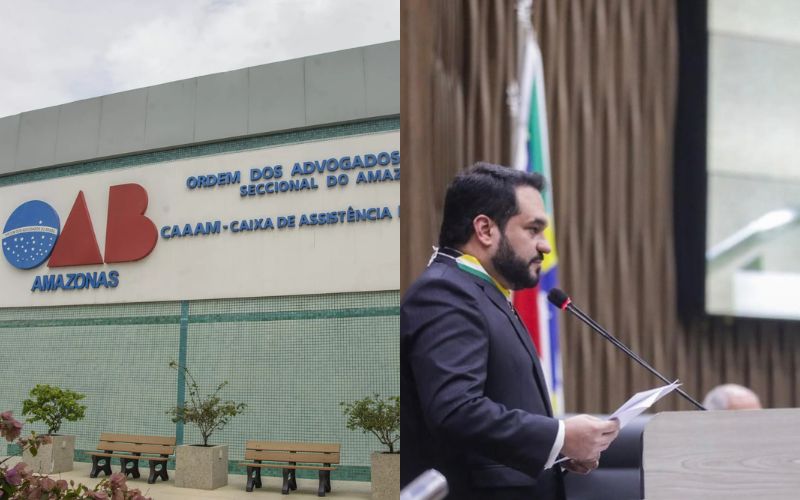 judicializacao-do-processo-ele
