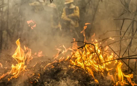 Pantanal é o mais afetado pelo avanço do calor no Brasil
