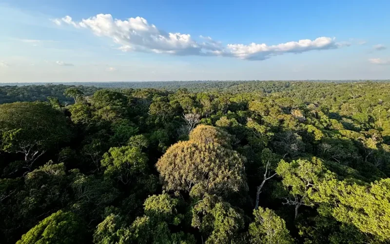 cop30-o-que-e-quando-acontece-