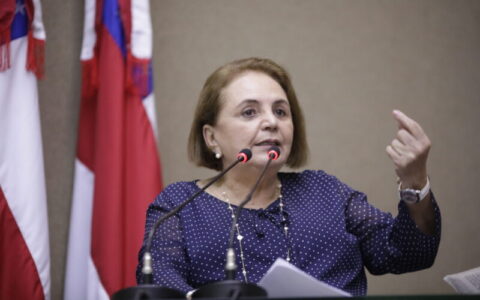 ex-deputada-therezinha-ruiz-an