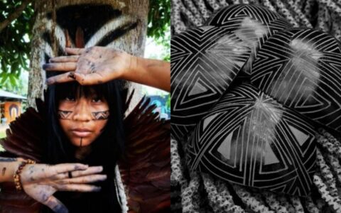 exposicao-olhares-do-parque-da