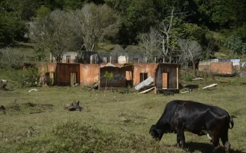 filme-rejeito-denuncia-impacto
