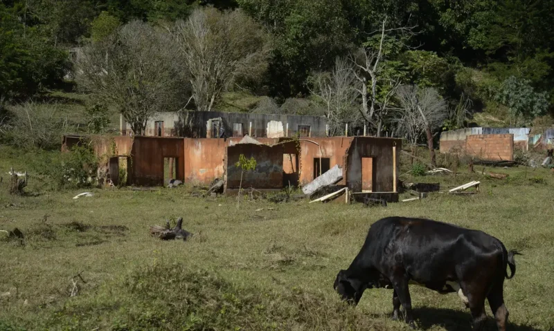 filme-rejeito-denuncia-impacto