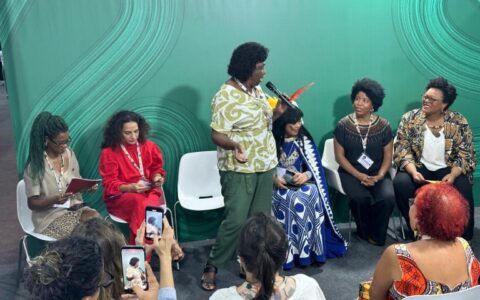 mulheres-na-cop30-deputadas-de