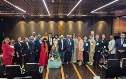 parlamentares-lancam-plano-com