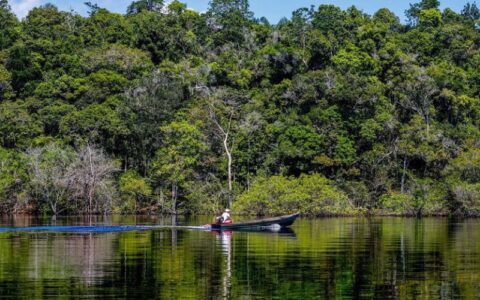 pauta-ambiental-nao-da-voto-e-