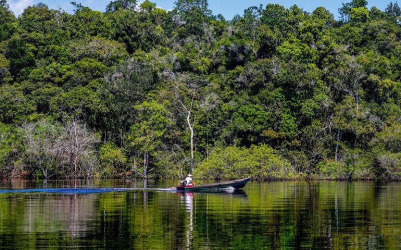 pauta-ambiental-nao-da-voto-e-