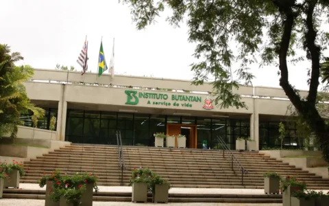 sus-tera-novos-medicamentos-ap
