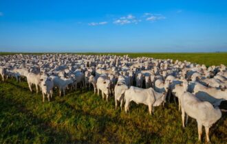 brasil-amplia-presenca-global-