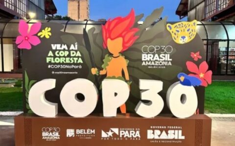 decreto-define-participacao-da