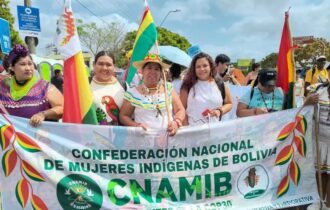 indigenas-sul-americanos-se-un