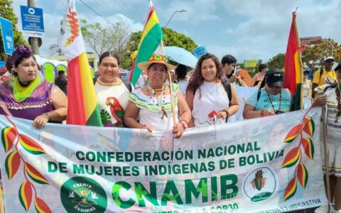 indigenas-sul-americanos-se-un