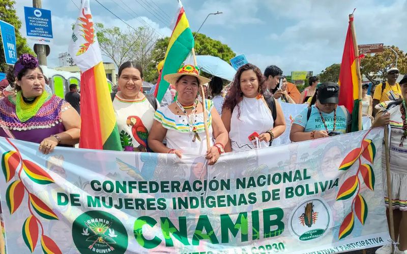 indigenas-sul-americanos-se-un