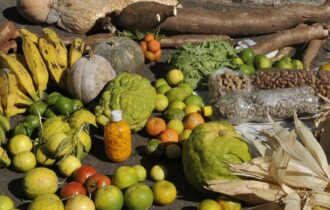 alimentos-da-agricultura-famil