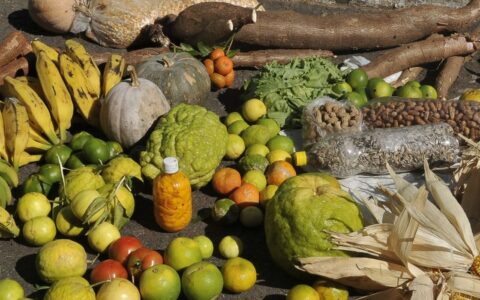alimentos-da-agricultura-famil