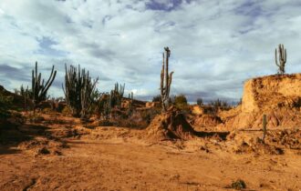 ameacada-de-desertificacao-caa