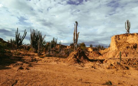 ameacada-de-desertificacao-caa
