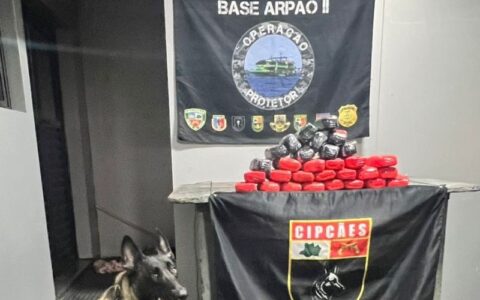 base-arpao-2-pmam-apreende-15-