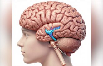 projeto-artemis-investiga-gene